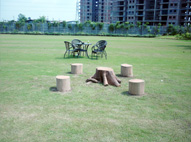 Wooden Sitting Arrangement
